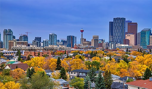 calgary now